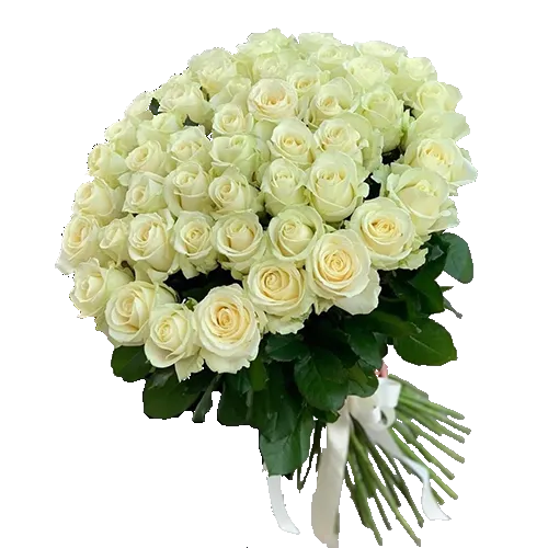 Букет из 51 белой розы