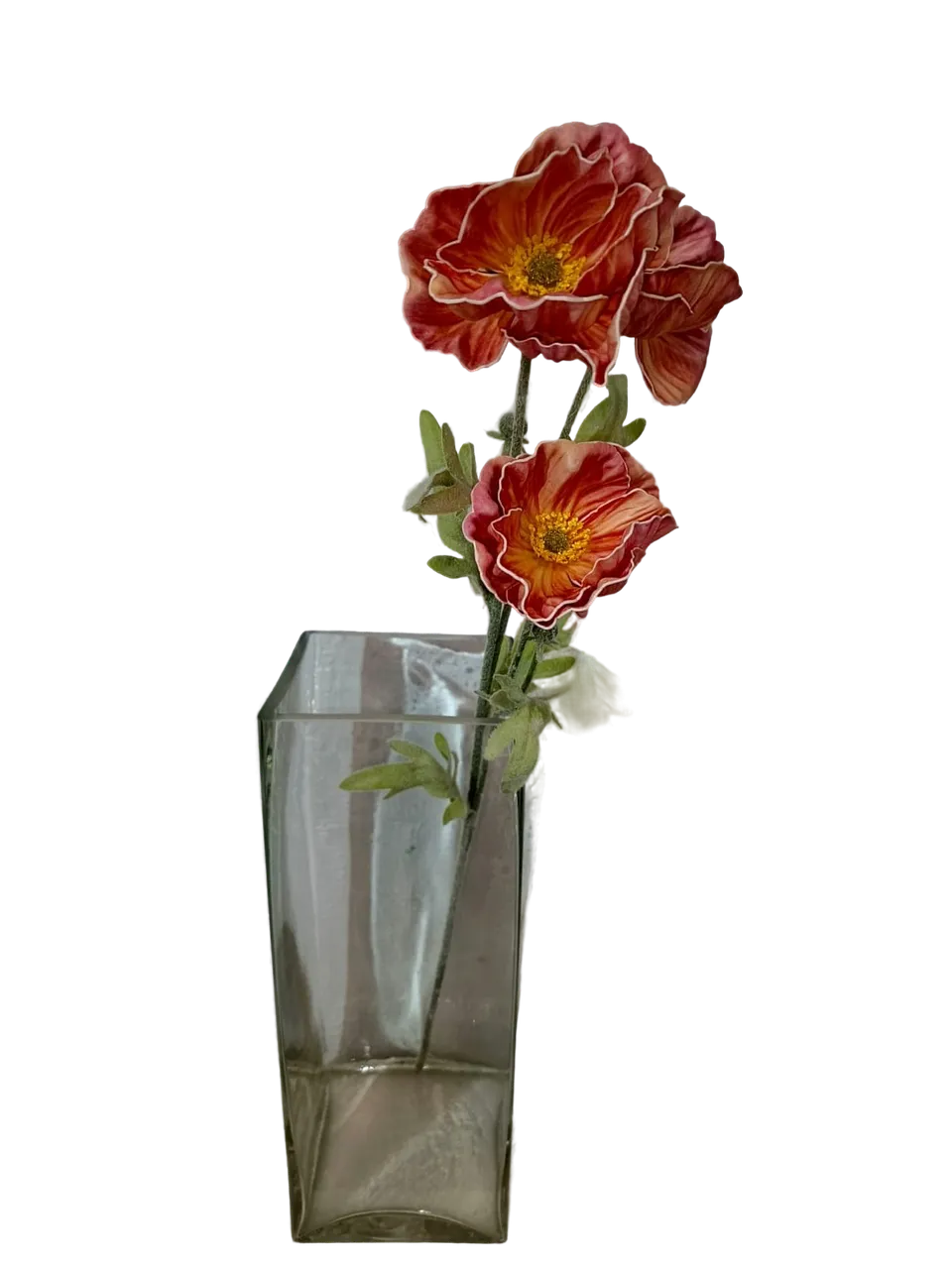 Мак красный